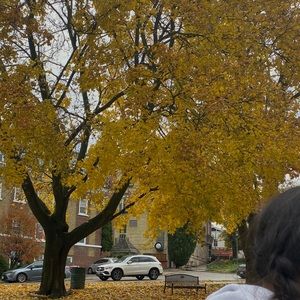 Meet your Posher, Shar